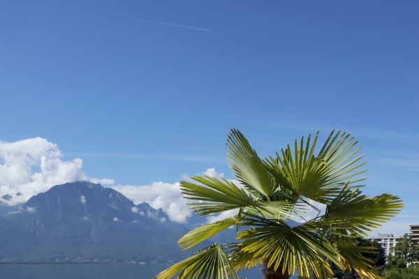 Golf-Hotel Rene Capt (Montreux)